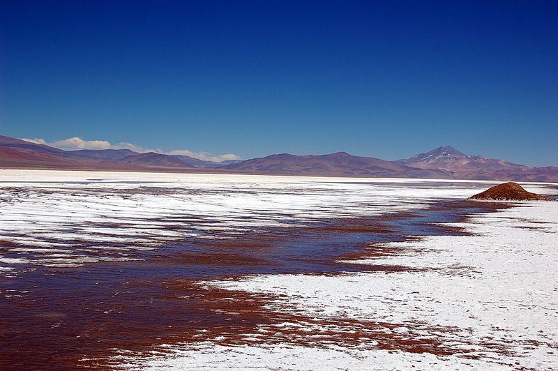 The Salar de Maricunga in Chile’s Atacama region